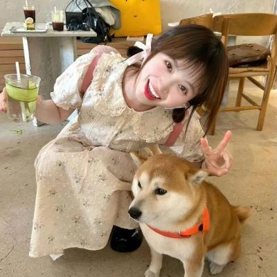 剧本人生